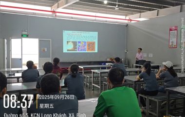 lop-huan-luyen-an-toan-tai-cong-ty-co-phan-solomon-paragon-viet-nam